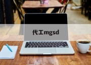 代工mgsd(代工是什么意思)